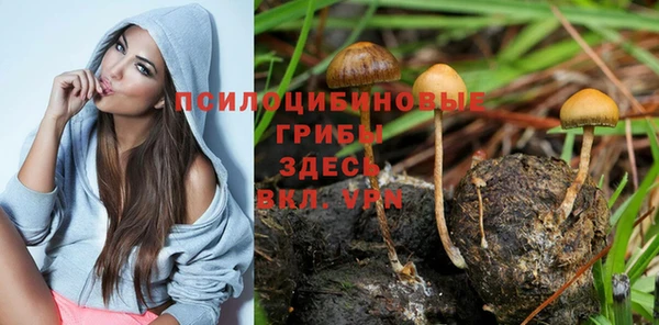 марихуана Кущёвская