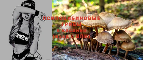 каннабис Ладушкин