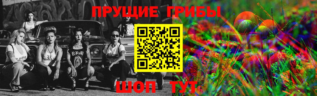 Псилоцибиновые грибы Psilocybe  Вход с VPN  Таганрог  Псилоцибиновые грибы GOLDEN TEACHER 
